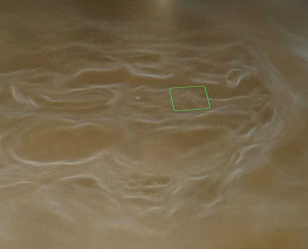 Microscopic image of fibres with a green focus marker