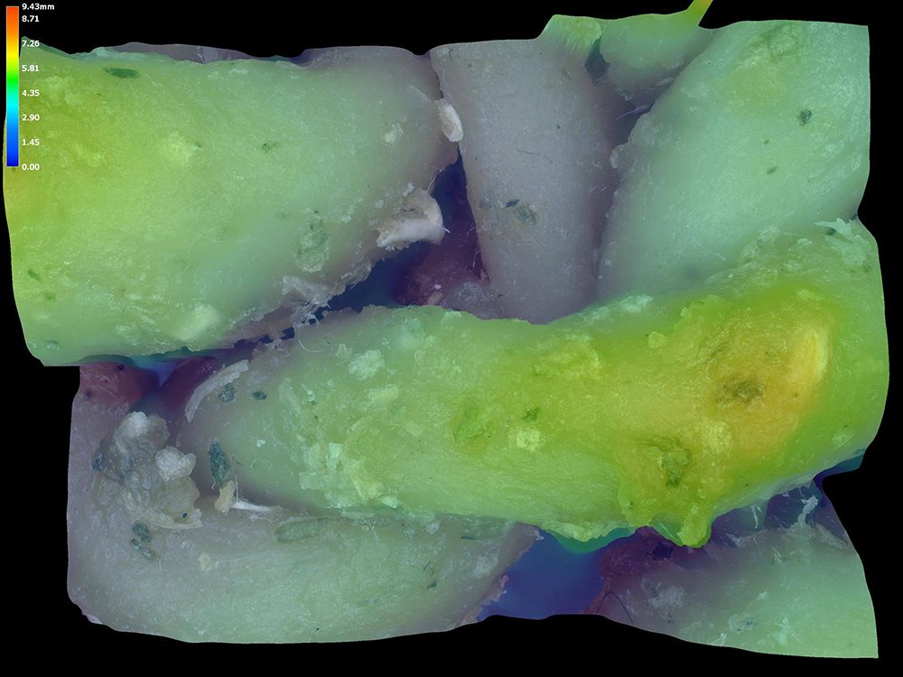 Microscopic image of knotted strands with a height colour scale