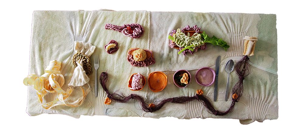 Eating DNA - Why not eat knot?