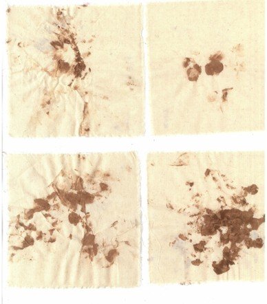 Four cloth napkins marked with brown cacao smears