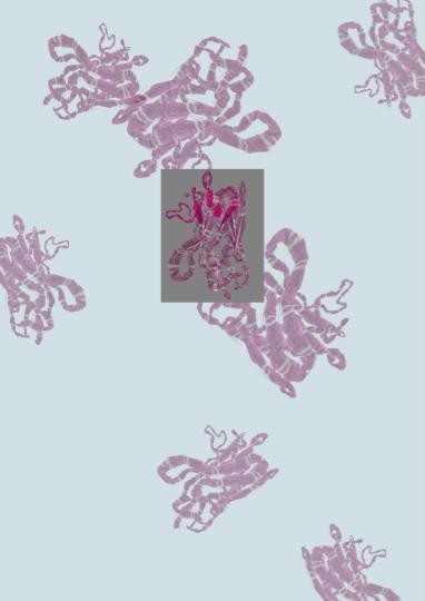 Nanobody Knitting