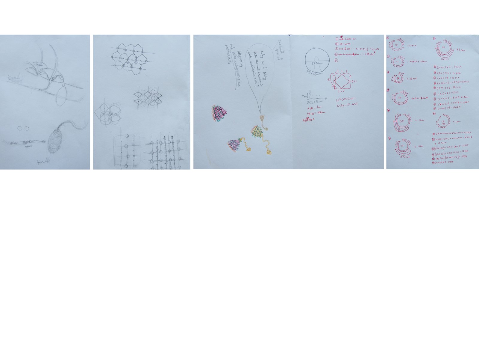 Pencil and ink research sketches of single-cell organisms and knit structures